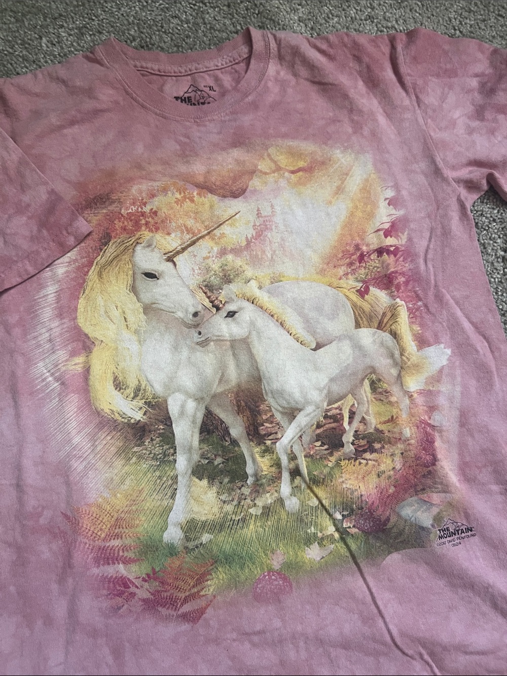 The Mountain Pink Unicorns Graphic Tee - Picture 2 of 5